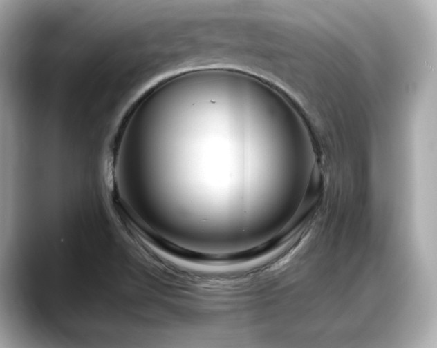 X0000088701510200705311205