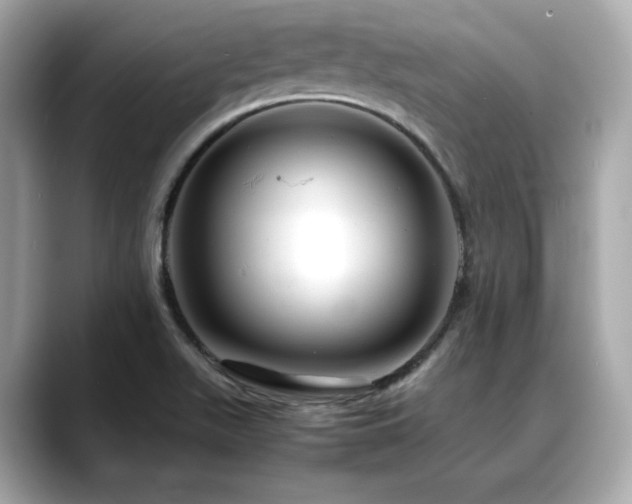 X0000088701511200705311205