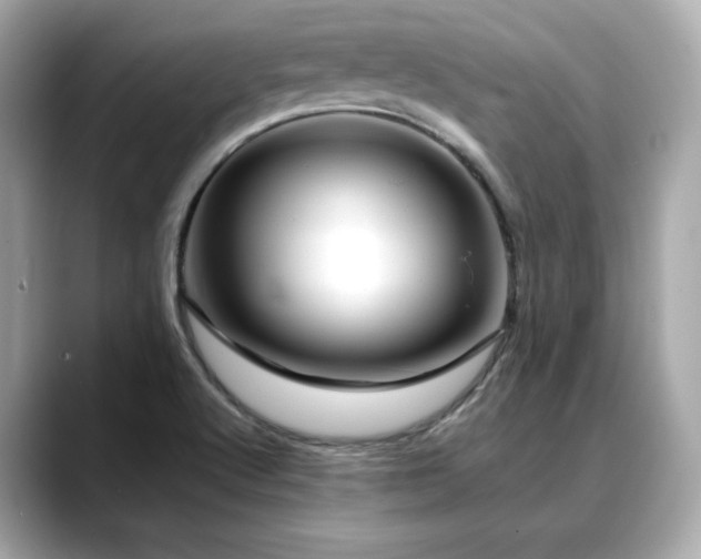 X0000088701512200705311205