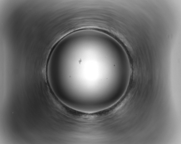 X0000088701513200705311205