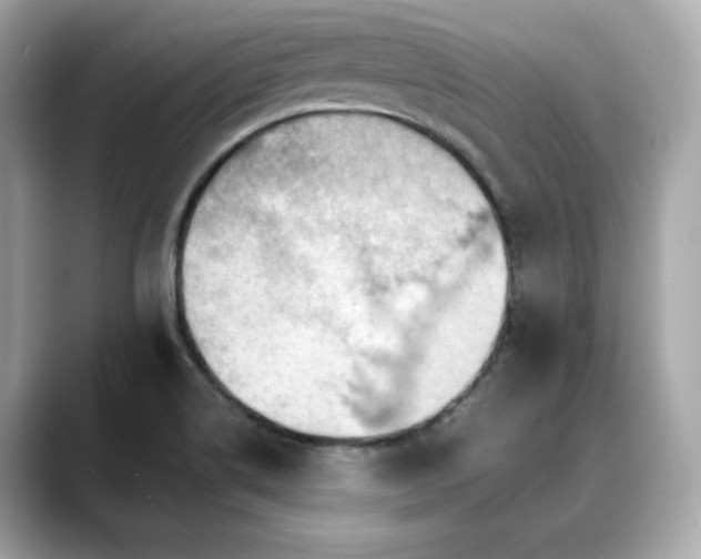 X0000088701514200705311205