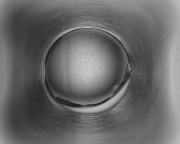X0000088701515200705311205