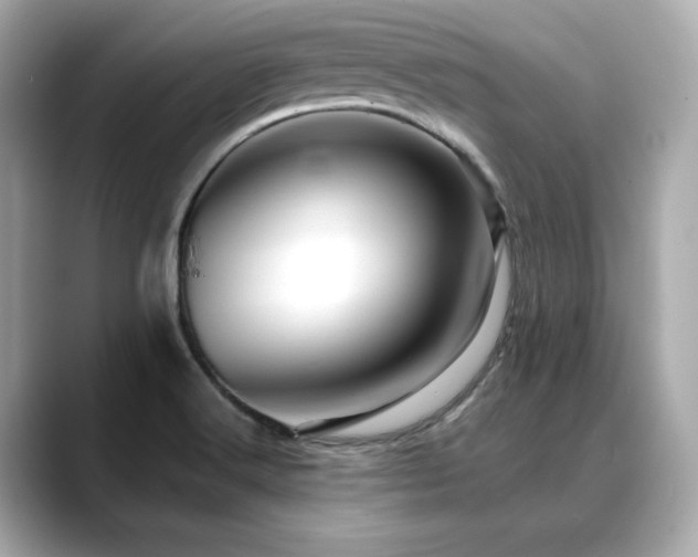 X0000088701516200705311205
