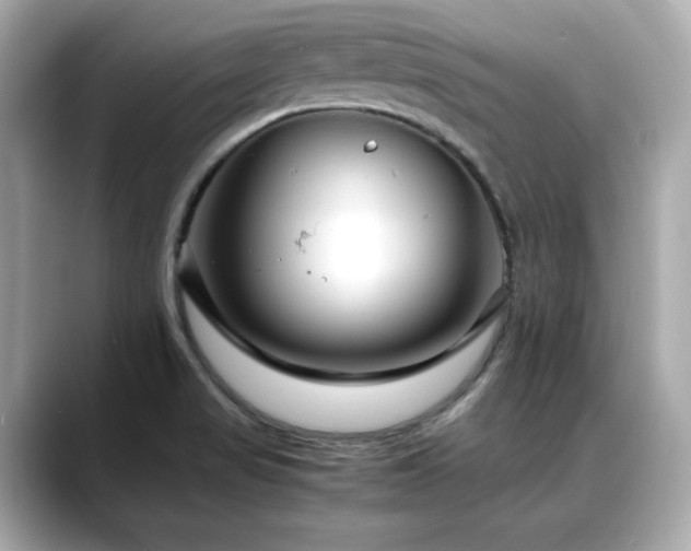 X0000088701517200705311205
