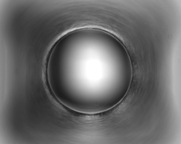 X0000088701518200705311205