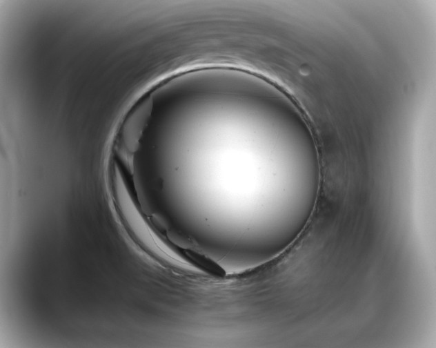 X0000088701519200705311205