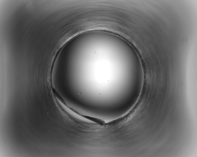 X0000088701521200705311205