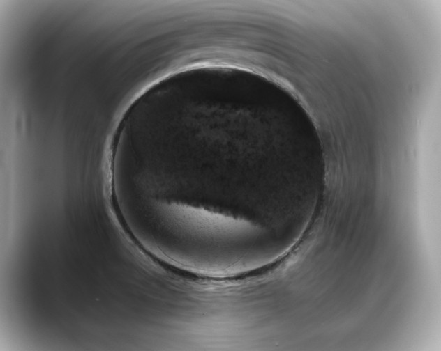 X0000088701522200705311205