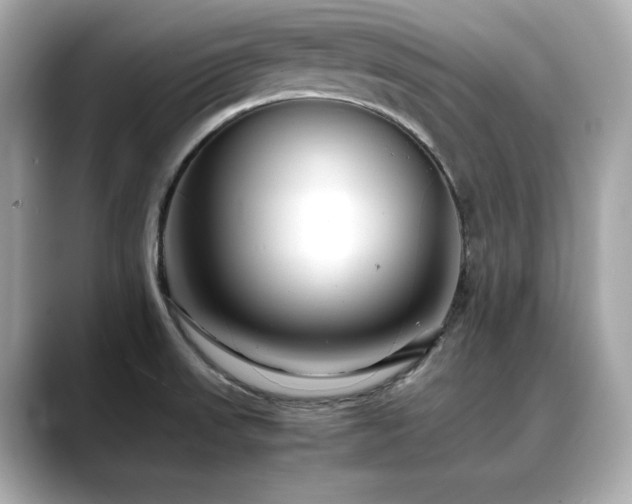 X0000088701523200705311205