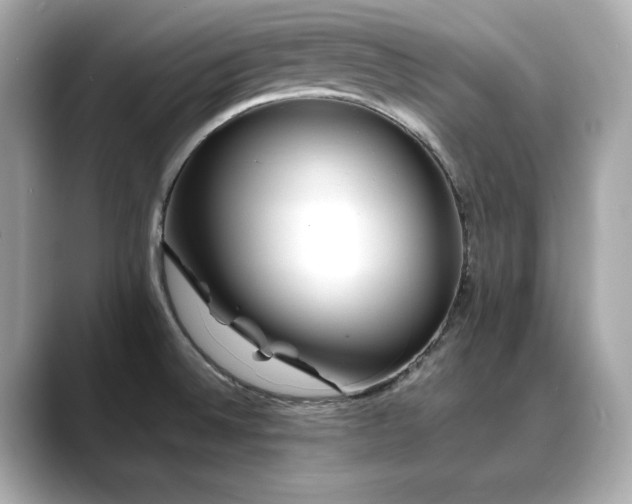 X0000088701524200705311205