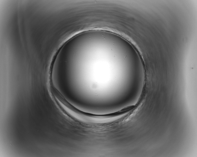 X0000088701525200705311205