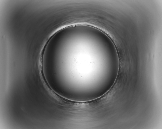 X0000088701526200705311205