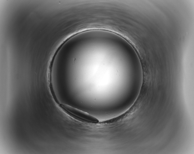 X0000088701527200705311205