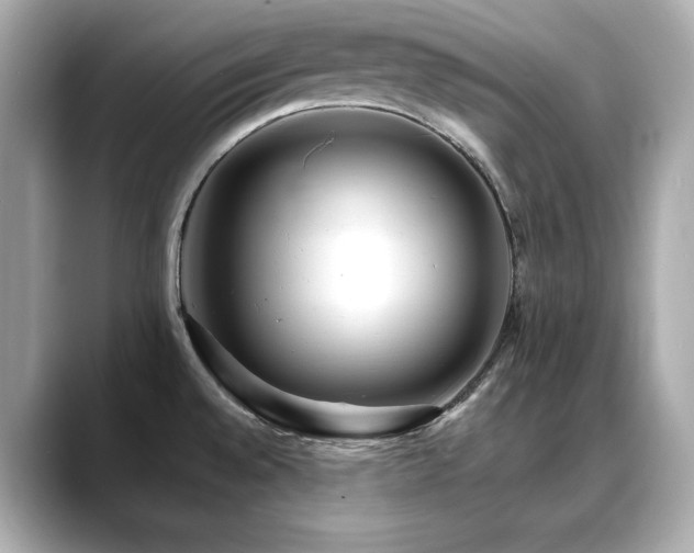 X0000088701528200705311205