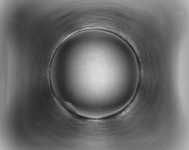 X0000088701529200705311205
