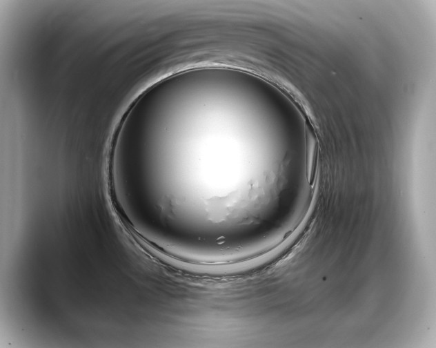 X0000088701530200705311205