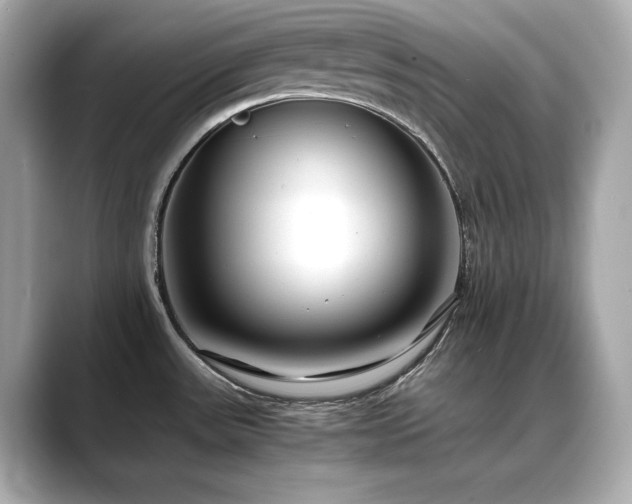 X0000088701531200705311205