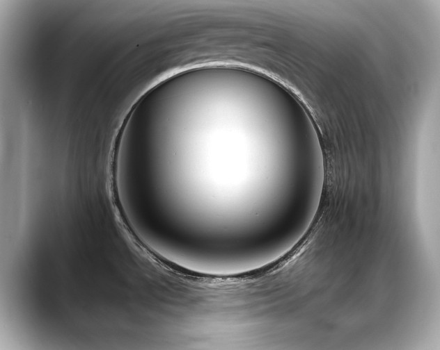 X0000088701534200705311205