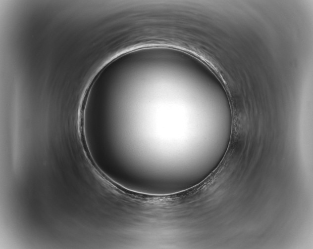 X0000088701535200705311205