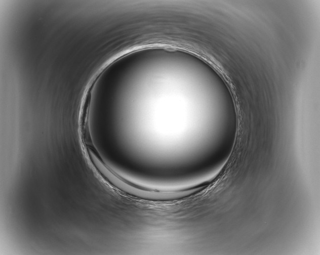 X0000088701536200705311205
