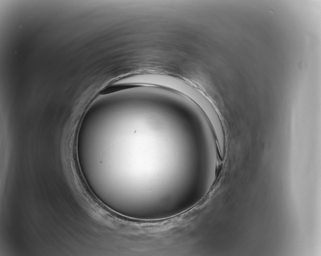 X0000088700001200706071549