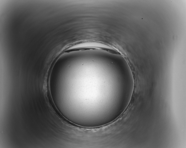 X0000088700002200706071549