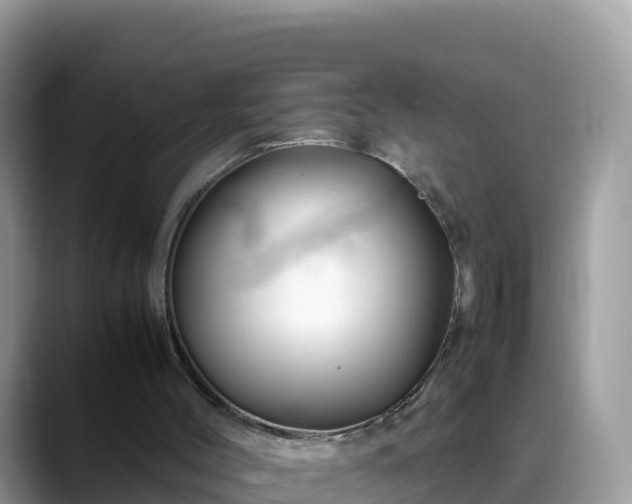 X0000088700004200706071549