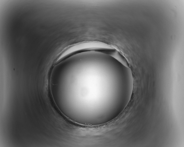 X0000088700005200706071549