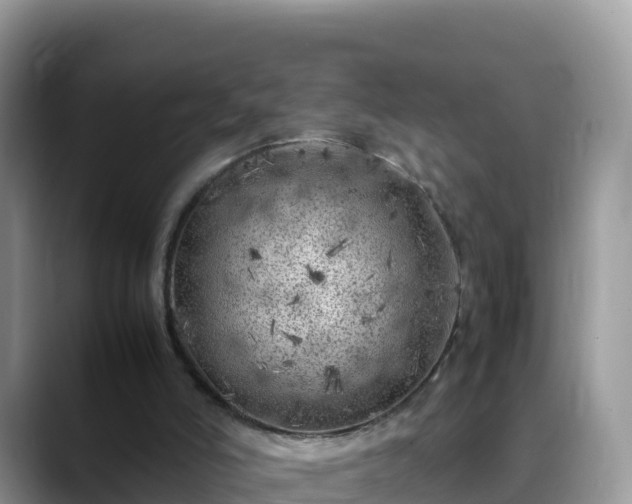 X0000088700006200706071549