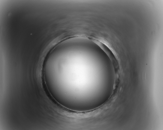 X0000088700007200706071549
