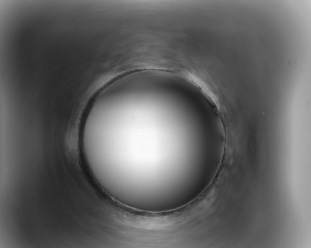 X0000088700008200706071549