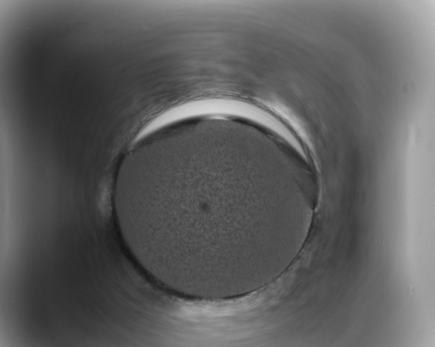 X0000088700009200706071549