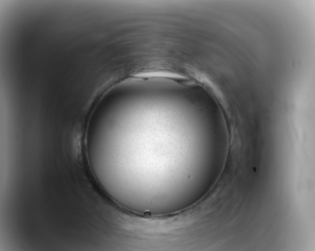 X0000088700010200706071549