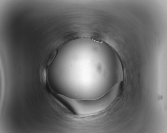 X0000088700013200706071549