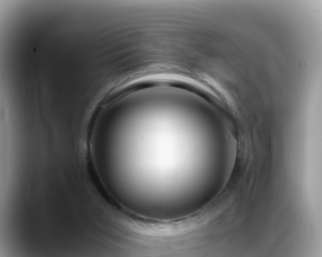 X0000088700015200706071549