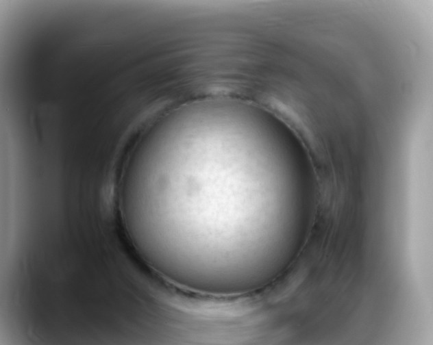 X0000088700016200706071549