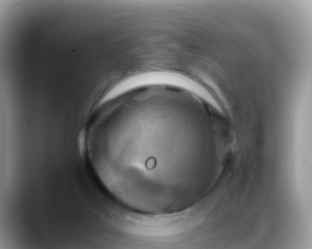 X0000088700019200706071549