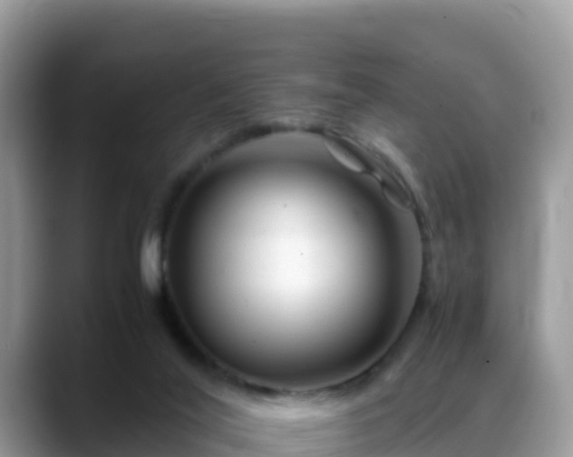 X0000088700020200706071549