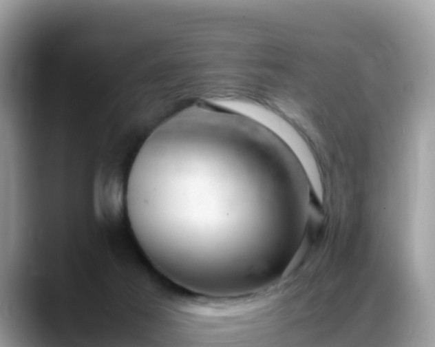 X0000088700021200706071549