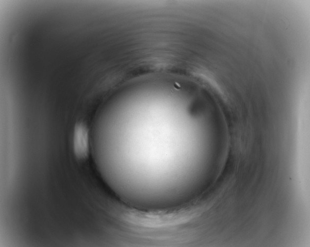 X0000088700022200706071549