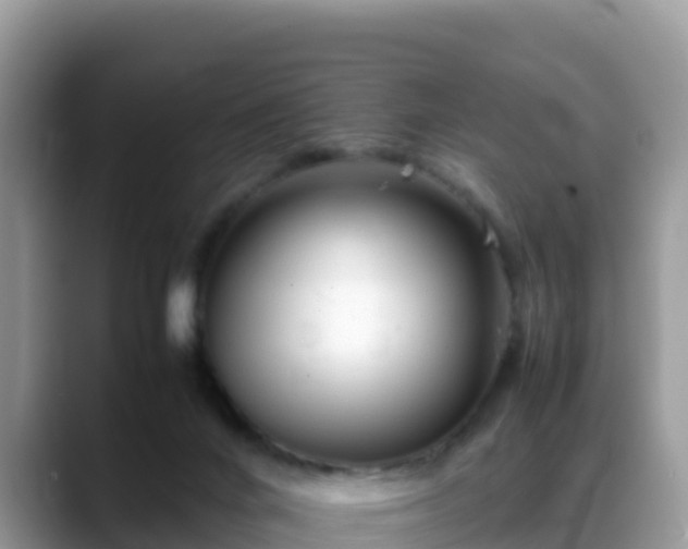 X0000088700024200706071549