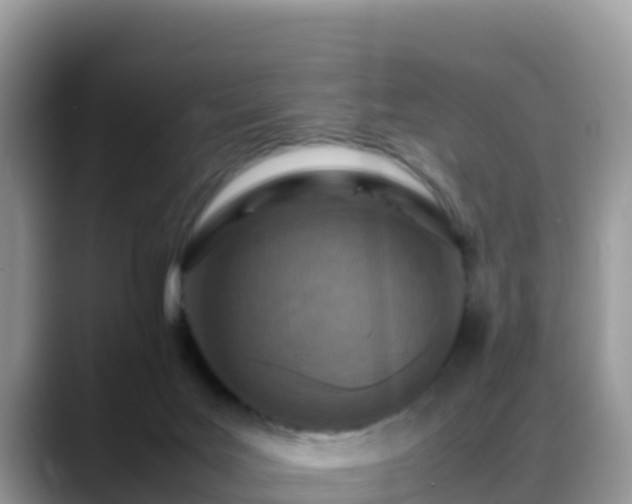 X0000088700027200706071549