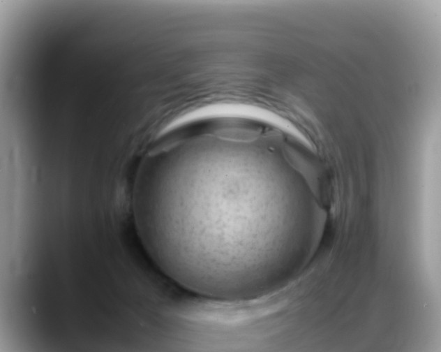 X0000088700029200706071549