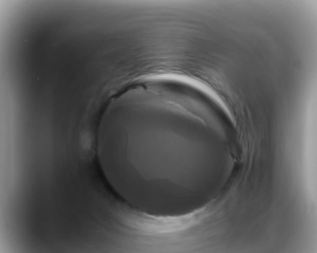 X0000088700031200706071548