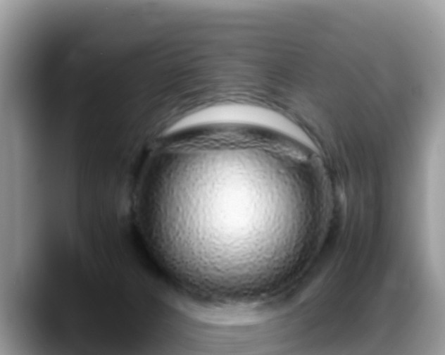 X0000088700032200706071548