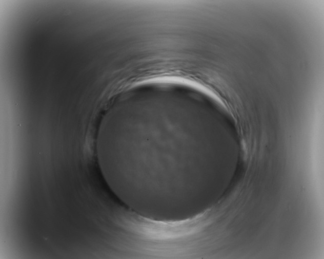 X0000088700035200706071548