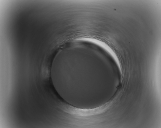 X0000088700039200706071548