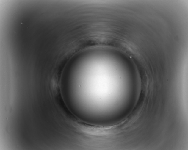 X0000088700040200706071548