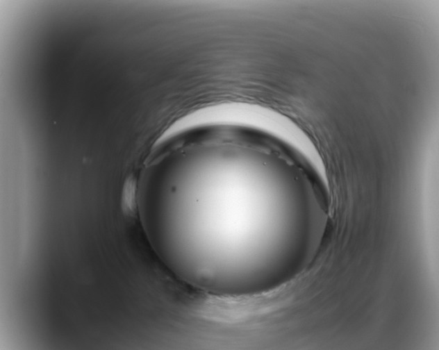 X0000088700041200706071548