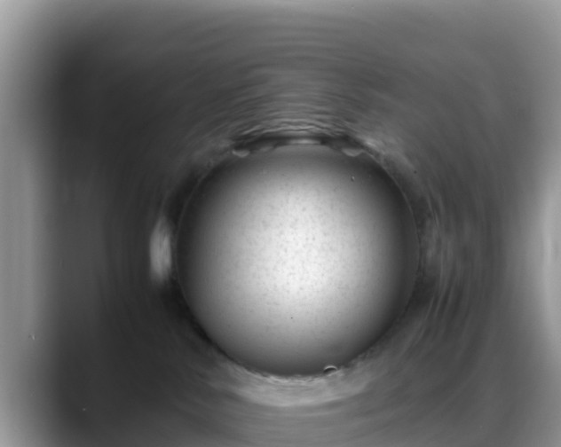 X0000088700042200706071548